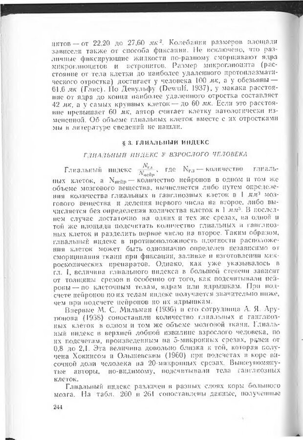 📖 DJVU. Мозг человека в цифрах и таблицах. Блинков С. М. Страница 246. Читать онлайн djvu