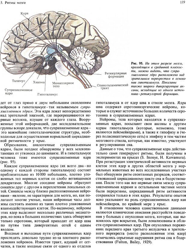 📖 DJVU. Мозг, разум и поведение. Блум Ф. Э. Страница 119. Читать онлайн djvu