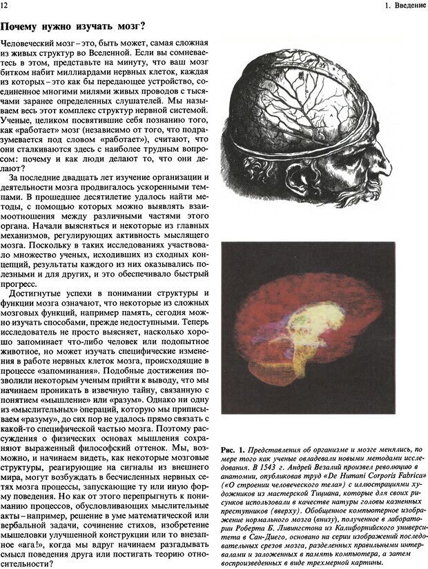 📖 DJVU. Мозг, разум и поведение. Блум Ф. Э. Страница 12. Читать онлайн djvu