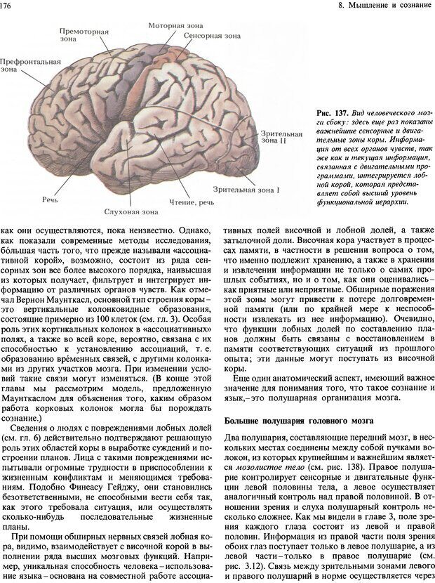 📖 DJVU. Мозг, разум и поведение. Блум Ф. Э. Страница 176. Читать онлайн djvu