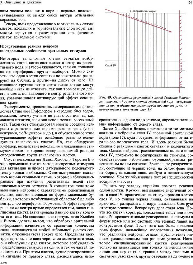 📖 DJVU. Мозг, разум и поведение. Блум Ф. Э. Страница 65. Читать онлайн djvu