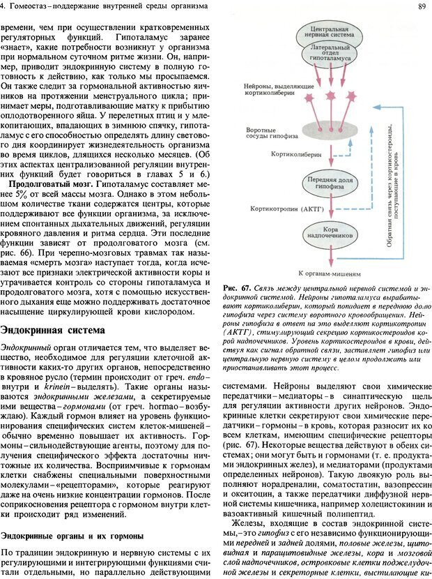 📖 DJVU. Мозг, разум и поведение. Блум Ф. Э. Страница 89. Читать онлайн djvu