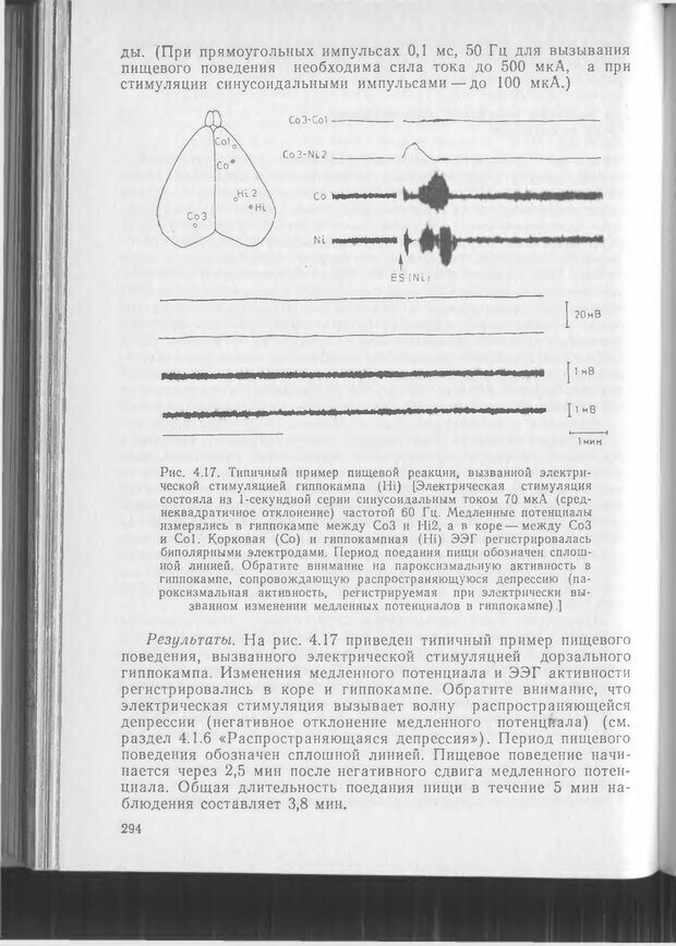 📖 DJVU. Методики и основные эксперименты по изучению мозга и поведения. Буреш Я. Страница 293. Читать онлайн djvu