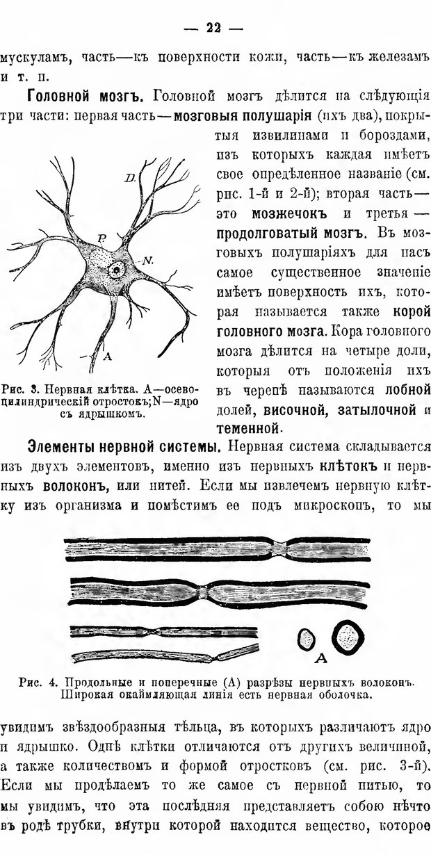 📖 DJVU. Учебник психологии. Челпанов Г. И. Страница 30. Читать онлайн djvu