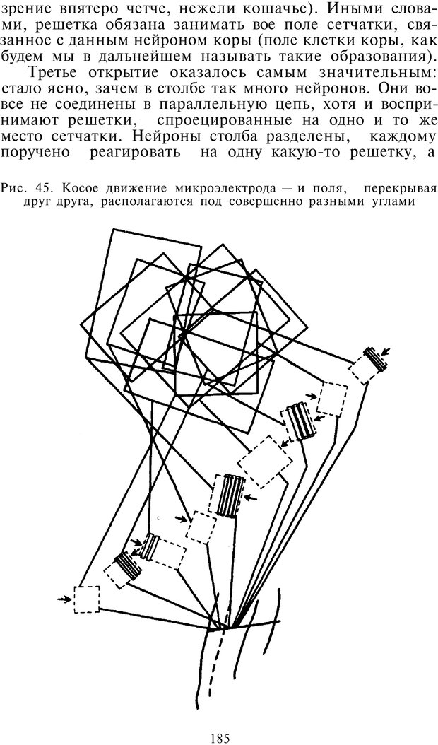 📖 PDF. Как мы видим то, что видим. Демидов В. Е. Страница 185. Читать онлайн pdf