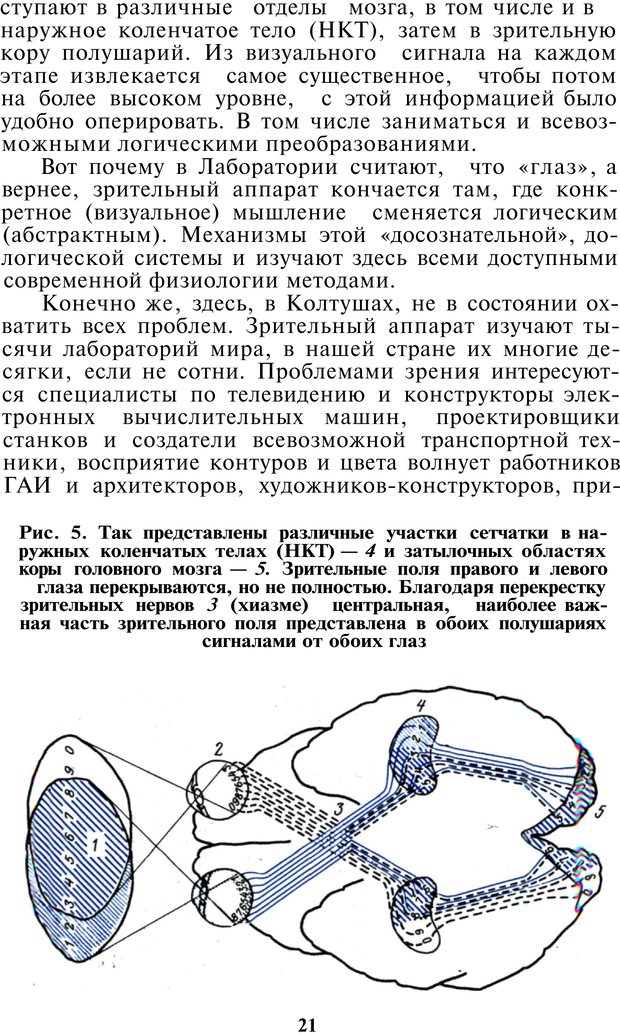 📖 PDF. Как мы видим то, что видим. Демидов В. Е. Страница 21. Читать онлайн pdf