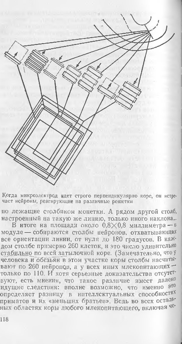 📖 DJVU. Как мы видим то, что видим. Демидов В. Е. Страница 118. Читать онлайн djvu