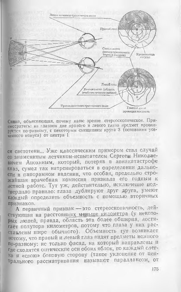 📖 DJVU. Как мы видим то, что видим. Демидов В. Е. Страница 175. Читать онлайн djvu