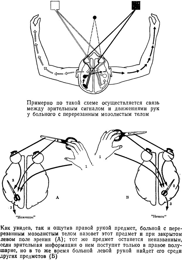 📖 DJVU. Как мы видим то, что видим. Демидов В. Е. Страница 40. Читать онлайн djvu