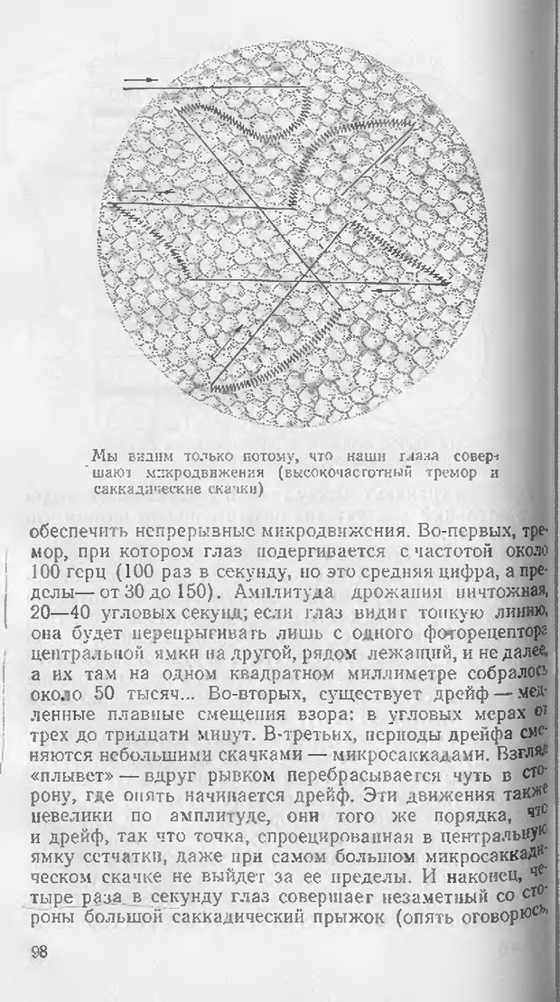 📖 DJVU. Как мы видим то, что видим. Демидов В. Е. Страница 98. Читать онлайн djvu