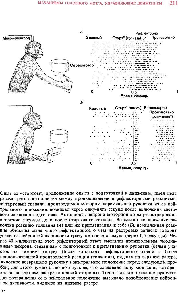 📖 DJVU. Мозг. Хьюбел Д. Страница 211. Читать онлайн djvu