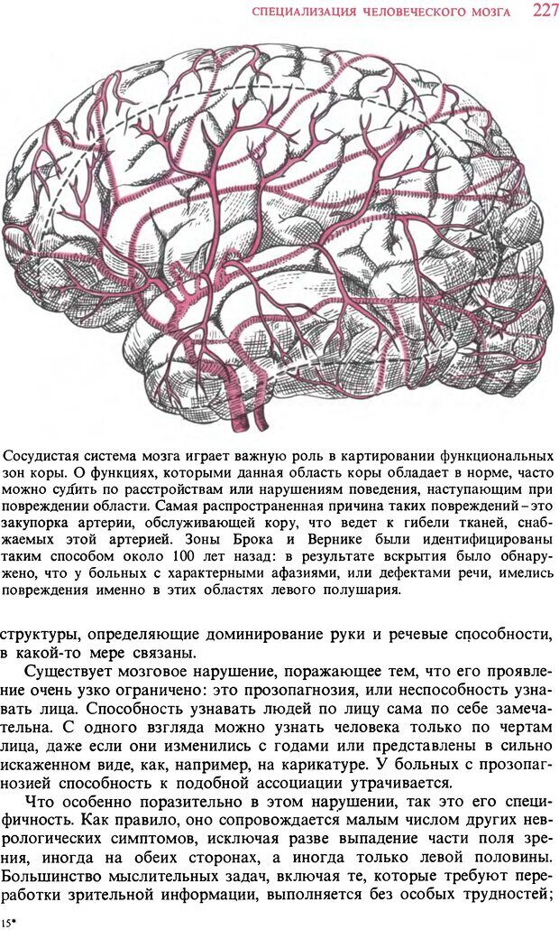 📖 DJVU. Мозг. Хьюбел Д. Страница 227. Читать онлайн djvu