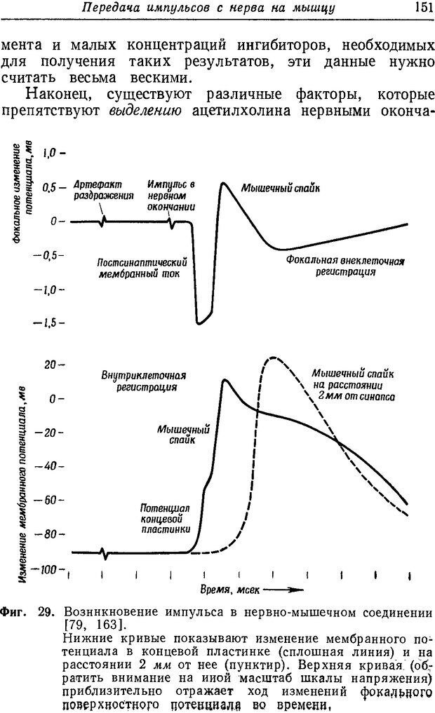 📖 DJVU. Нерв, мышца и синапс. Катц Б. Страница 149. Читать онлайн djvu