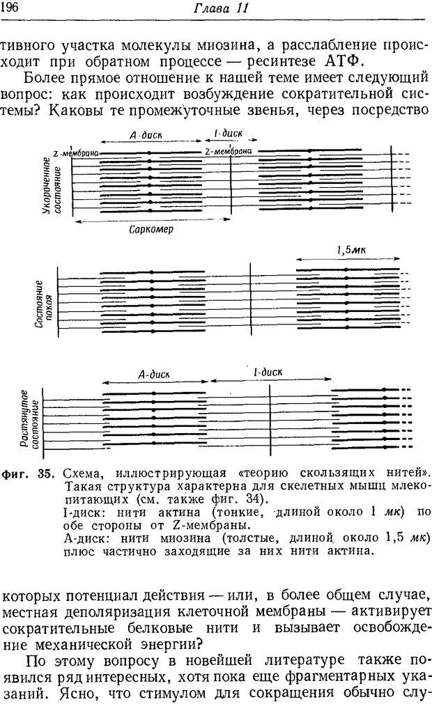 📖 DJVU. Нерв, мышца и синапс. Катц Б. Страница 194. Читать онлайн djvu