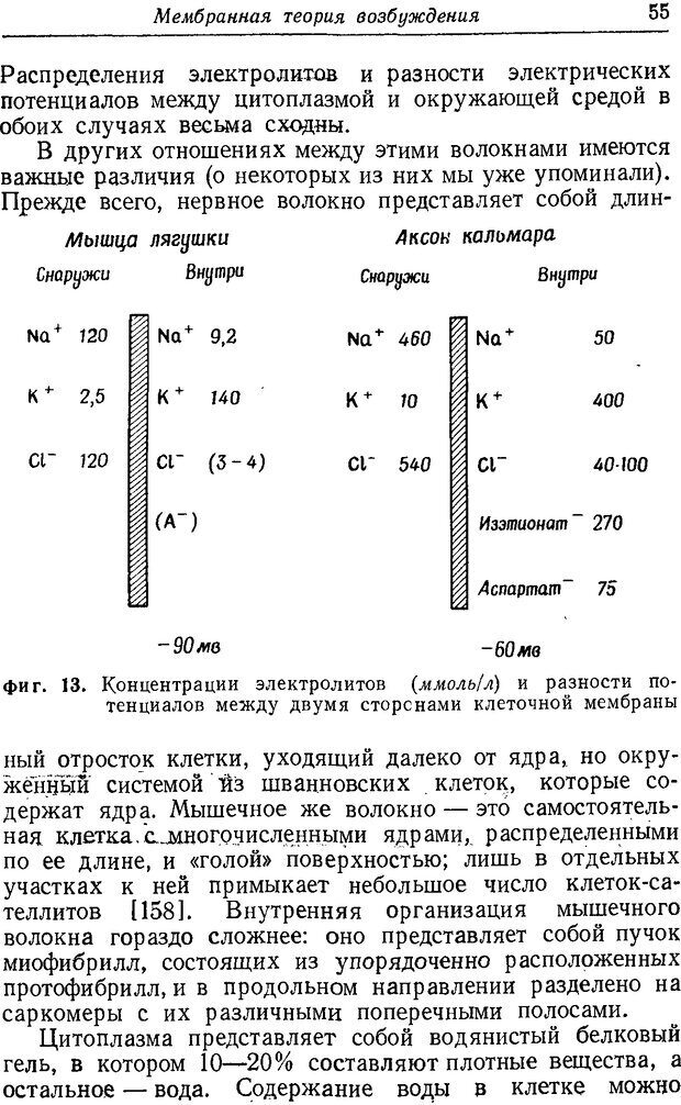 📖 DJVU. Нерв, мышца и синапс. Катц Б. Страница 53. Читать онлайн djvu