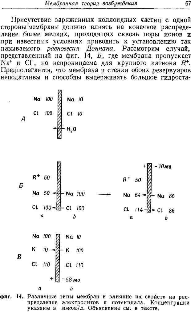 📖 DJVU. Нерв, мышца и синапс. Катц Б. Страница 65. Читать онлайн djvu