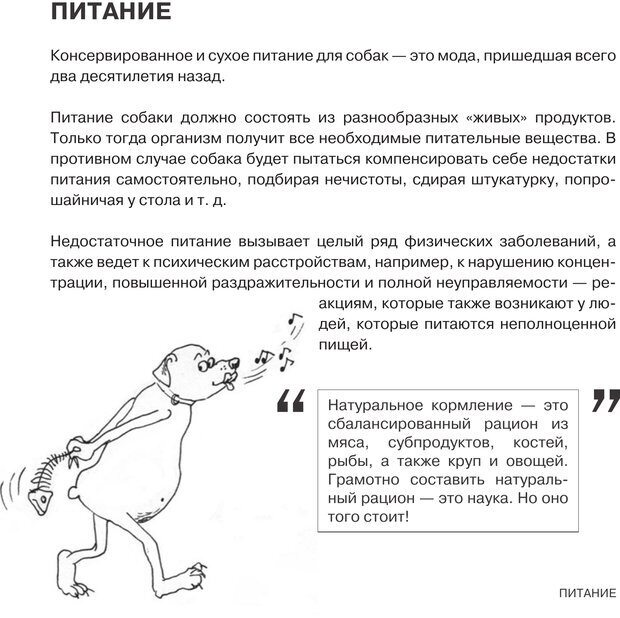 📖 PDF. Что такое собака? Кажарская О. М. Страница 15. Читать онлайн pdf