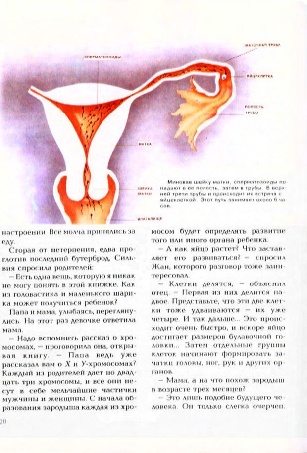 📖 PDF. Энциклопедия сексуальной жизни для детей 10-13 лет. Коэн-Соляль Ж. Страница 21. Читать онлайн pdf