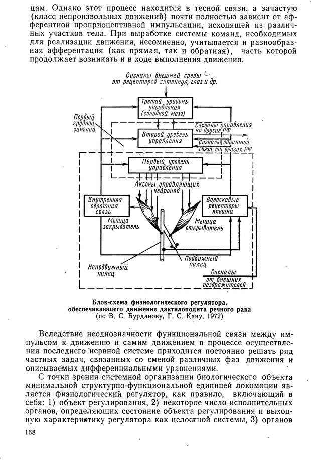 📖 DJVU. Биологическая кибернетика. Коган А. Б. Страница 168. Читать онлайн djvu