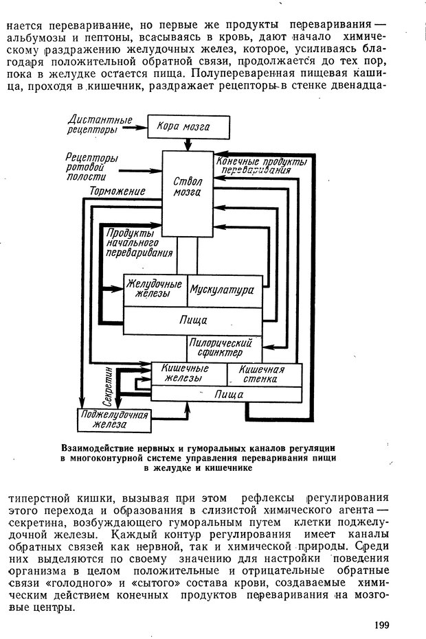 📖 DJVU. Биологическая кибернетика. Коган А. Б. Страница 199. Читать онлайн djvu