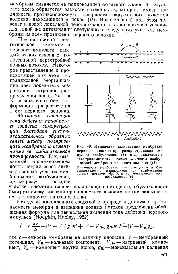 📖 DJVU. Биологическая кибернетика. Коган А. Б. Страница 207. Читать онлайн djvu