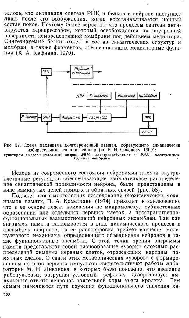 📖 DJVU. Биологическая кибернетика. Коган А. Б. Страница 228. Читать онлайн djvu