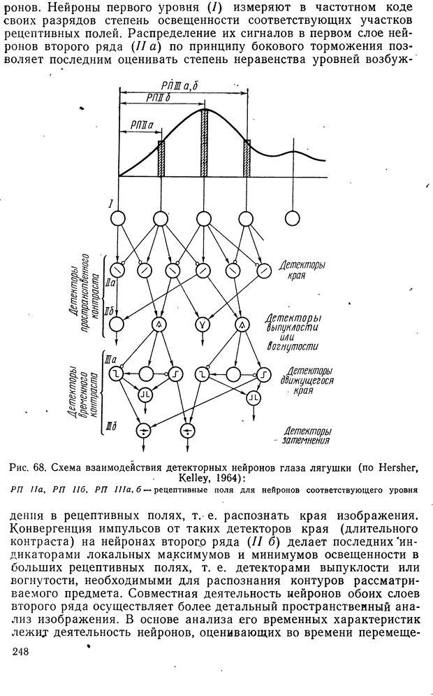 📖 DJVU. Биологическая кибернетика. Коган А. Б. Страница 248. Читать онлайн djvu