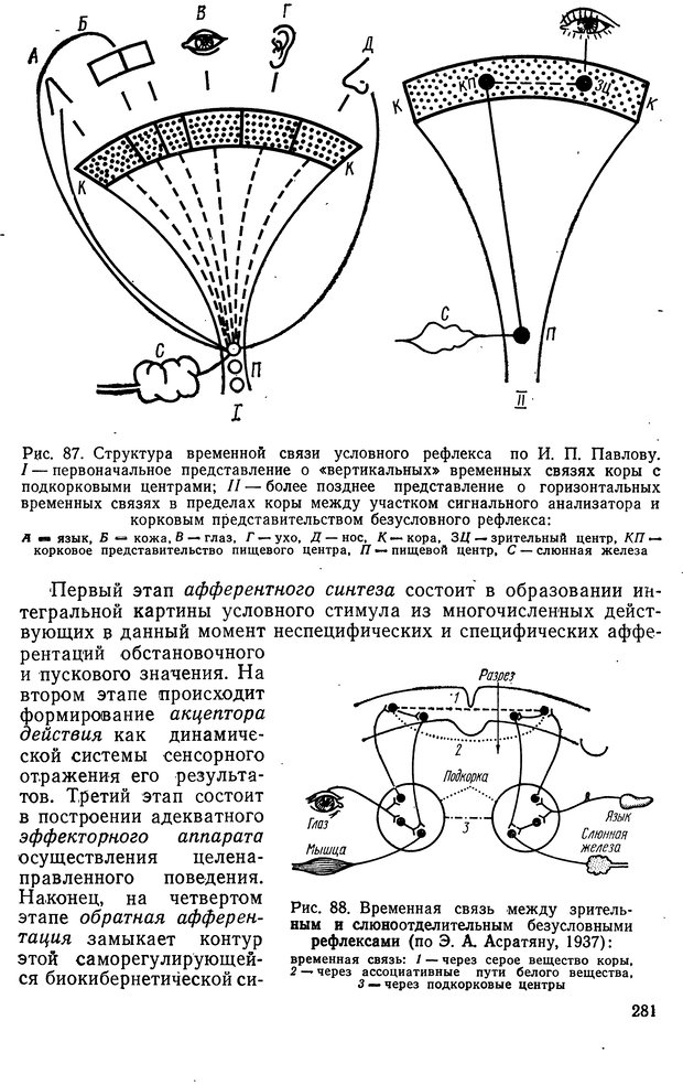 📖 DJVU. Биологическая кибернетика. Коган А. Б. Страница 281. Читать онлайн djvu