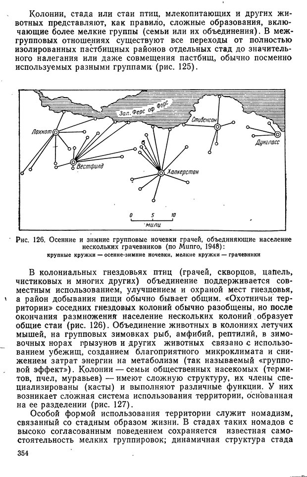 📖 DJVU. Биологическая кибернетика. Коган А. Б. Страница 354. Читать онлайн djvu