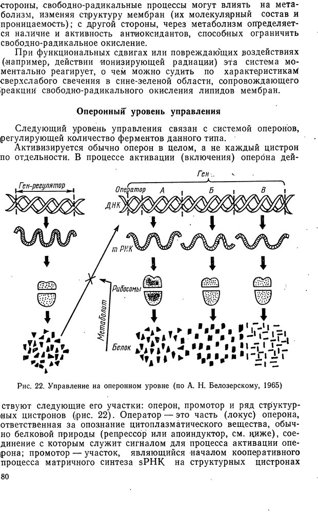 📖 DJVU. Биологическая кибернетика. Коган А. Б. Страница 80. Читать онлайн djvu