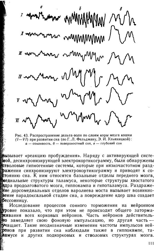 📖 DJVU. Основы физиологии высшей нервной деятельности. Коган А. Б. Страница 110. Читать онлайн djvu