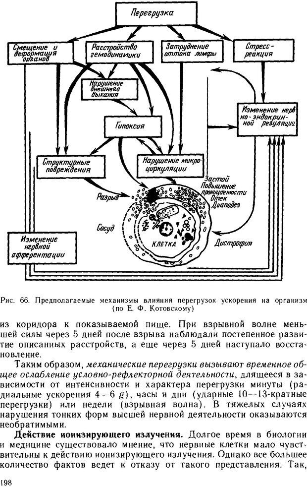 📖 DJVU. Основы физиологии высшей нервной деятельности. Коган А. Б. Страница 197. Читать онлайн djvu