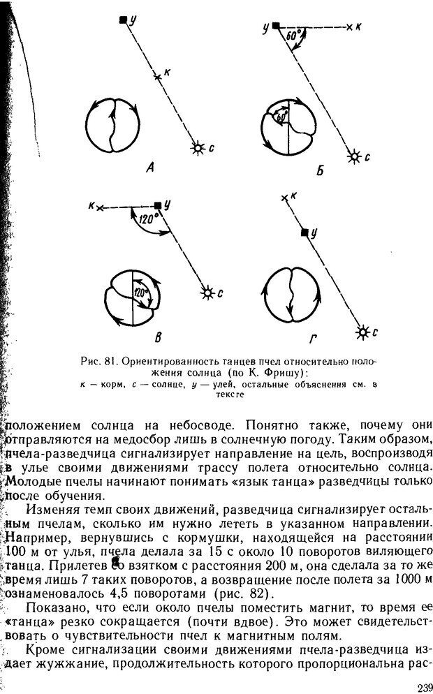 📖 DJVU. Основы физиологии высшей нервной деятельности. Коган А. Б. Страница 238. Читать онлайн djvu