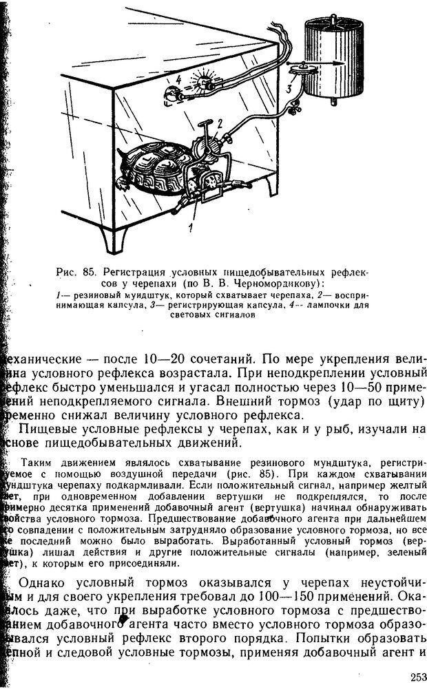 📖 DJVU. Основы физиологии высшей нервной деятельности. Коган А. Б. Страница 252. Читать онлайн djvu