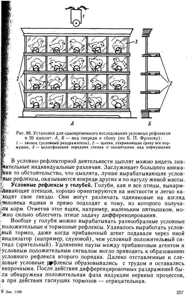 📖 DJVU. Основы физиологии высшей нервной деятельности. Коган А. Б. Страница 256. Читать онлайн djvu