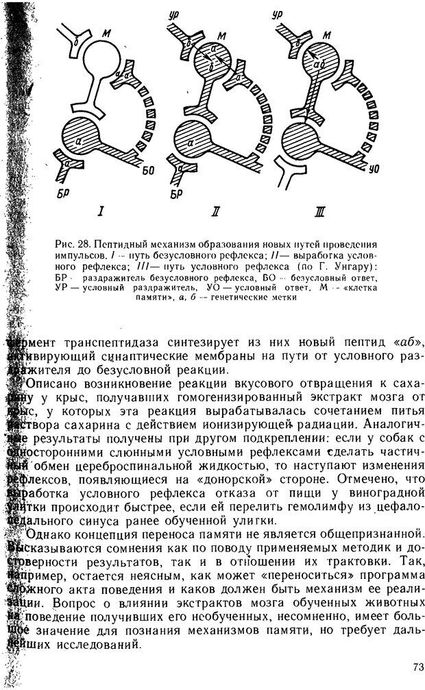 📖 DJVU. Основы физиологии высшей нервной деятельности. Коган А. Б. Страница 72. Читать онлайн djvu