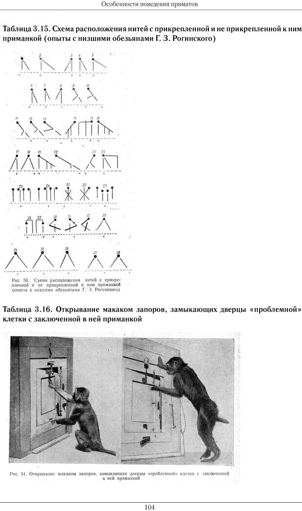 📖 PDF. Развитие психики в процессе эволюции организмов. Ладыгина-Котс Н. Н. Страница 103. Читать онлайн pdf