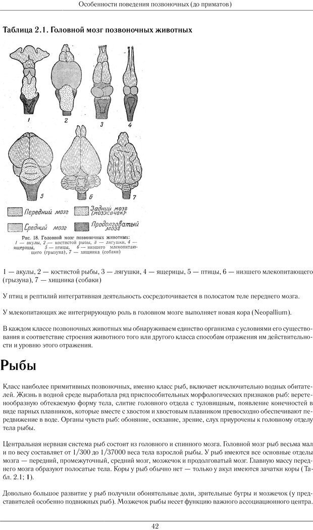 📖 PDF. Развитие психики в процессе эволюции организмов. Ладыгина-Котс Н. Н. Страница 41. Читать онлайн pdf