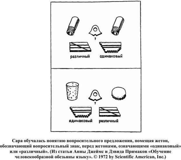 📖 PDF. Обезьяны, человек и язык. Линден Ю. Страница 105. Читать онлайн pdf