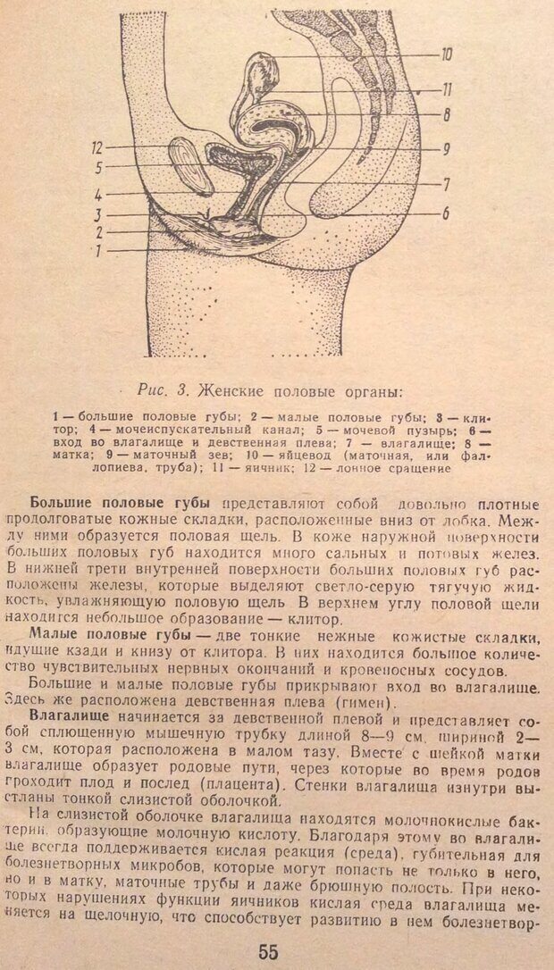 📖 DJVU. Женщина и мужчина. Отношения полов. Логинов А. Страница 108. Читать онлайн djvu