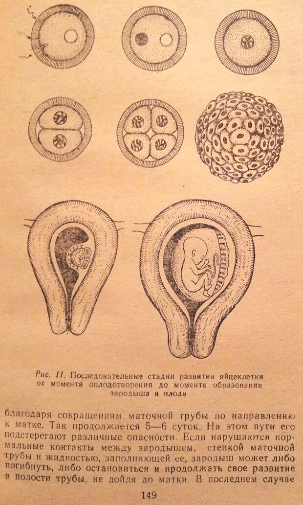 📖 DJVU. Женщина и мужчина. Отношения полов. Логинов А. Страница 202. Читать онлайн djvu