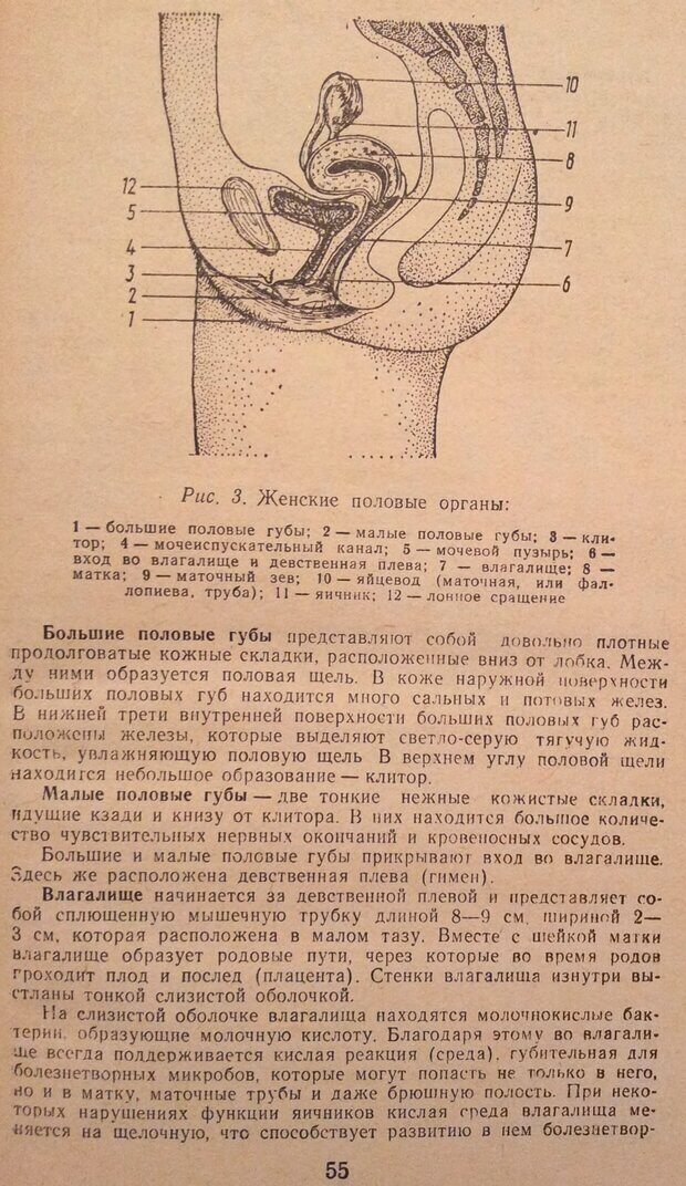 📖 DJVU. Женщина и мужчина. Отношения полов. Логинов А. Страница 55. Читать онлайн djvu