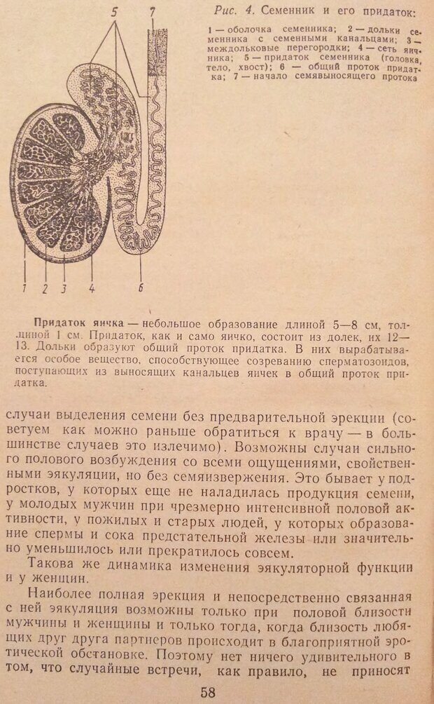 📖 DJVU. Женщина и мужчина. Отношения полов. Логинов А. Страница 58. Читать онлайн djvu