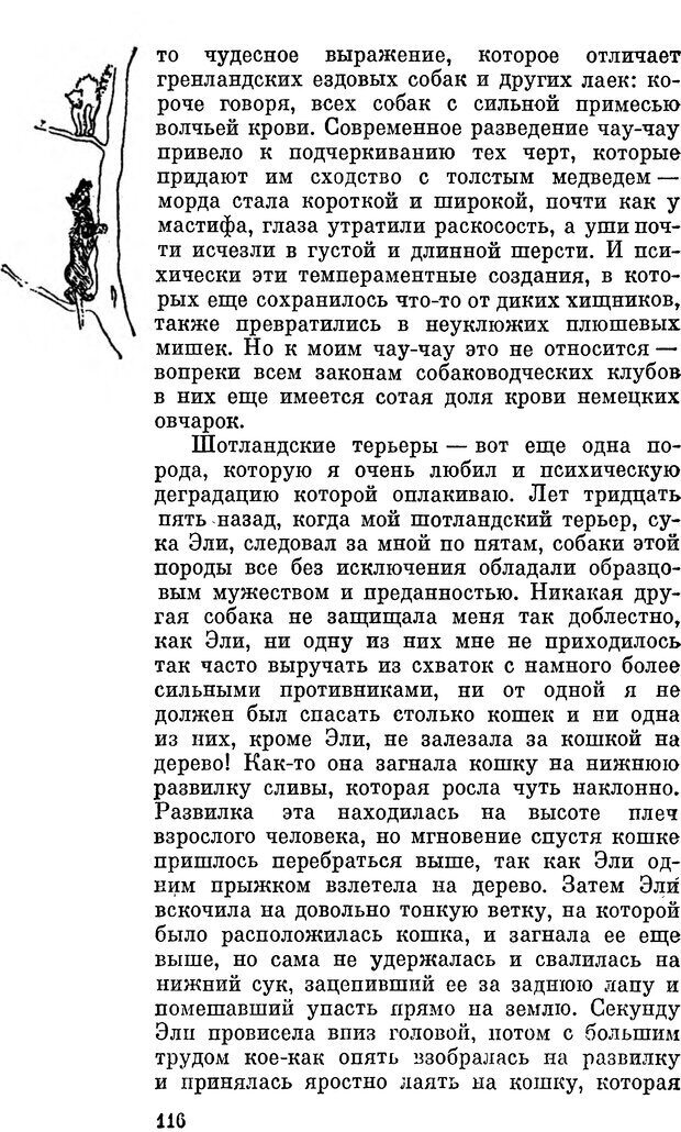 📖 DJVU. Человек находит друга. Лоренц К. Страница 116. Читать онлайн djvu