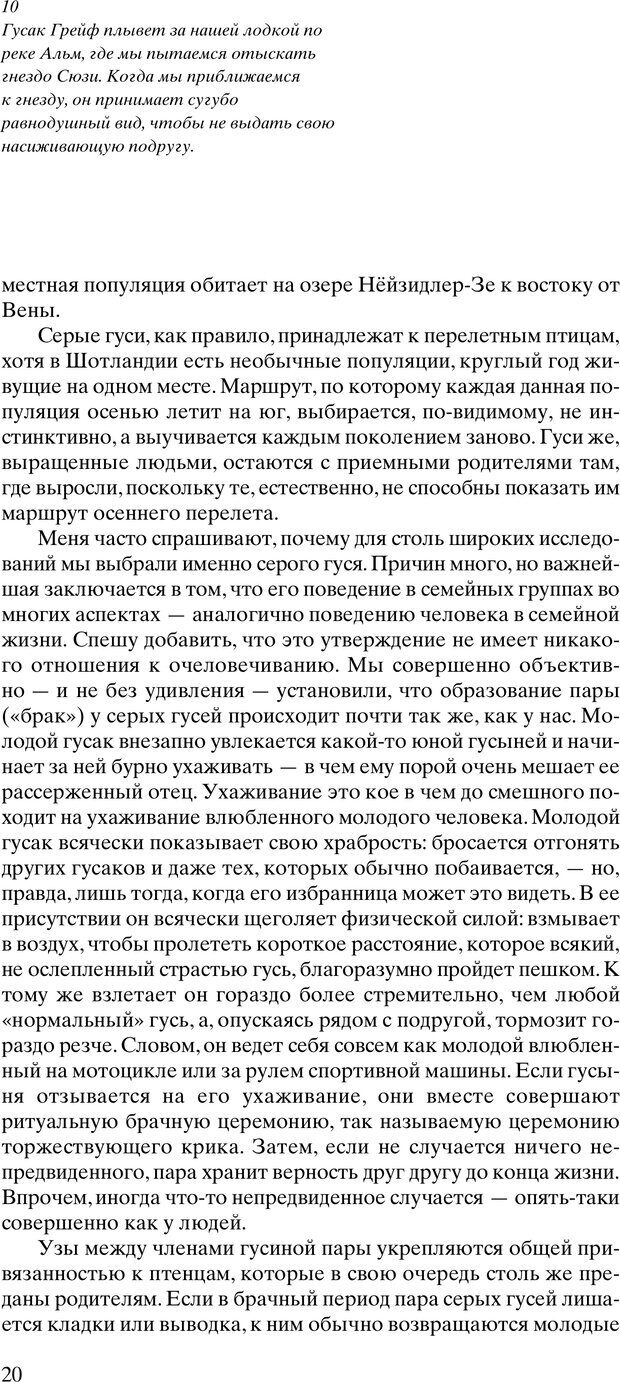 📖 PDF. Год серого гуся. Лоренц К. Страница 21. Читать онлайн pdf