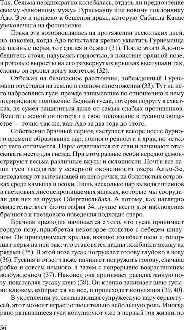 📖 PDF. Год серого гуся. Лоренц К. Страница 57. Читать онлайн pdf