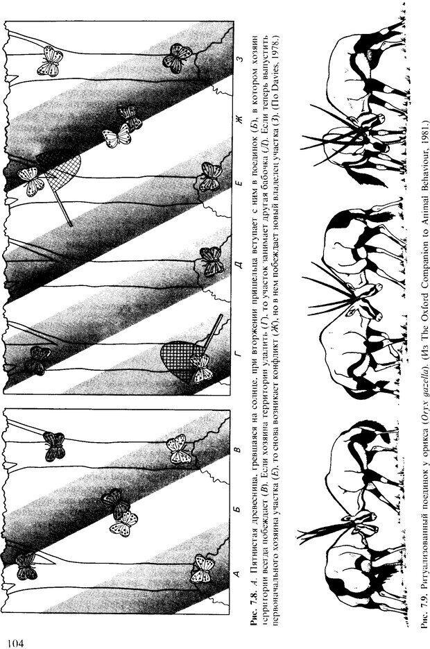 📖 DJVU. Поведение животных. Психобиология, этология и эволюция. Мак-Фарланд Д. Страница 104. Читать онлайн djvu