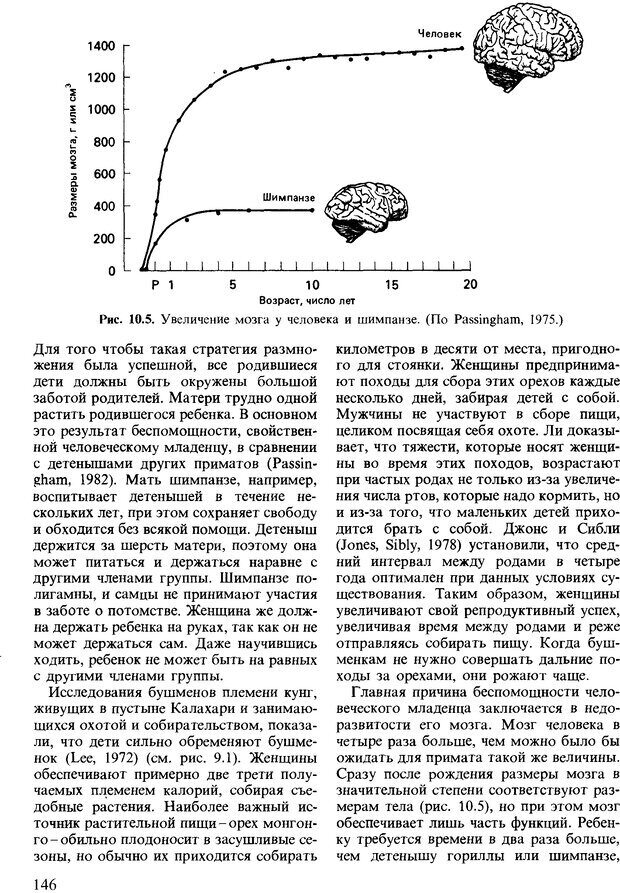 📖 DJVU. Поведение животных. Психобиология, этология и эволюция. Мак-Фарланд Д. Страница 146. Читать онлайн djvu