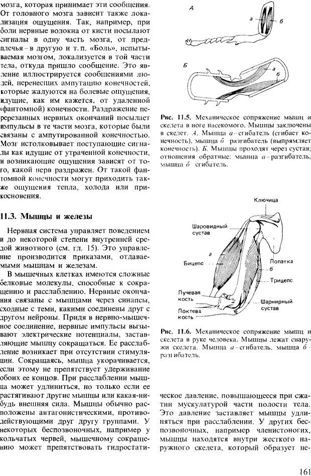 📖 DJVU. Поведение животных. Психобиология, этология и эволюция. Мак-Фарланд Д. Страница 161. Читать онлайн djvu