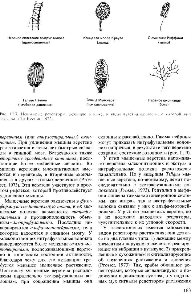 📖 DJVU. Поведение животных. Психобиология, этология и эволюция. Мак-Фарланд Д. Страница 163. Читать онлайн djvu